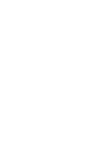 Smiley Cat